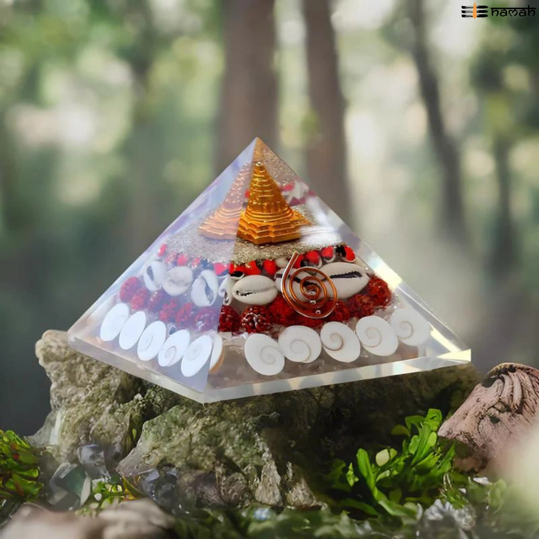 LAXMI WEALTH PYRAMID