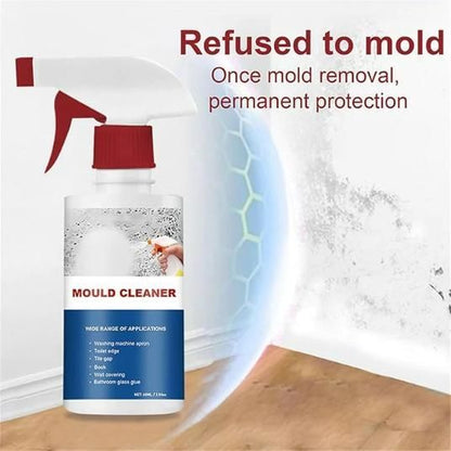 Deodorizing & Purifying Household Cleaning Foam Spray 60ml (BUY 1 GET 1 FREE)